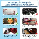 tải xuống (9).webp