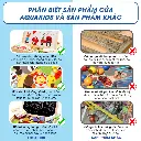 tải xuống (27).webp