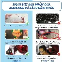 đổi_qc_store_thành_AQUAKIDS_202605231524.webp