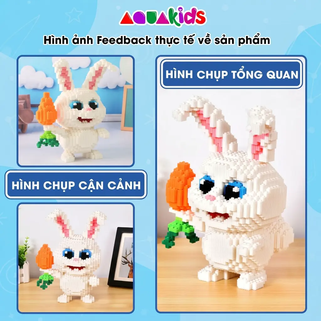 đổi_qc_store_thành_AQUAKIDS_202605240931.webp