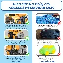 phân biệt ô tô.webp