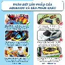 xe đk đụng nhau (8).webp