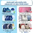 balo vũ trụ (5).webp