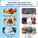 đồ chơi thú bông Capybara (5).webp