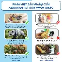 58 chi tiết lớn (5).webp