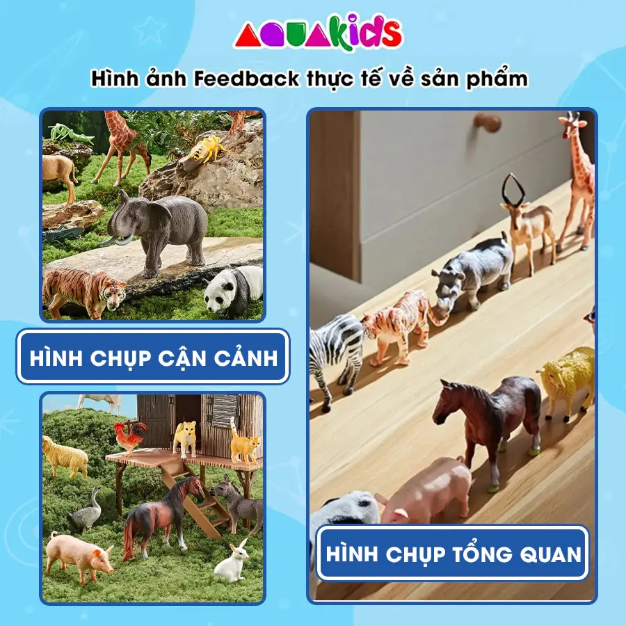 58 chi tiết lớn (3).webp