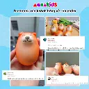 squishy cho-shiba-inu-feedback-2.webp