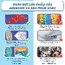 tải xuống (28).webp