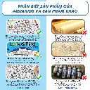 tải xuống (32).webp