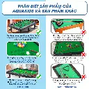 tải xuống (39).webp