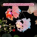 Lồng đèn giấy Trung Thu con cá chép ngọc trai nhiều màu có đi kèm phụ kiện, keo dán và đèn led trang trí tết